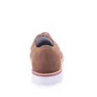029 2267 Camel4_1-4